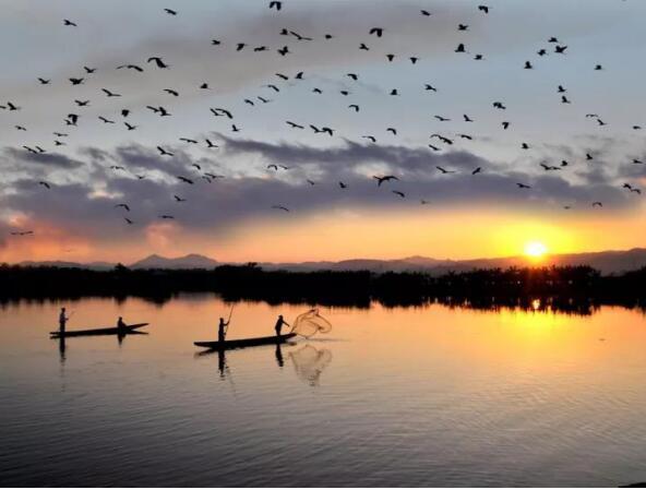 在最美的季節(jié)遇見你 雅居樂“上山下?！斌w驗行