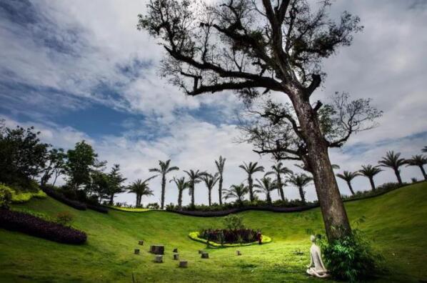 在最美的季節(jié)遇見你 雅居樂“上山下?！斌w驗行