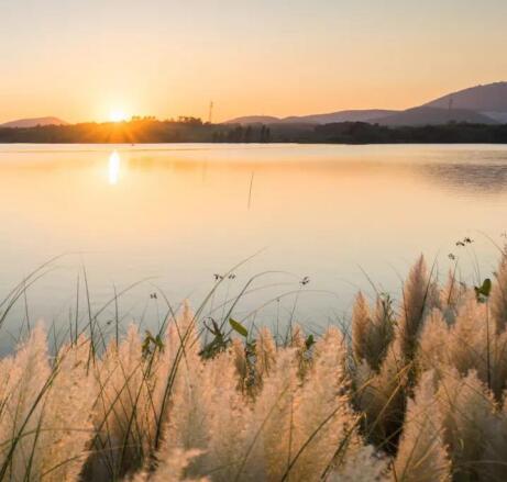 在最美的季節(jié)遇見你 雅居樂“上山下?！斌w驗行